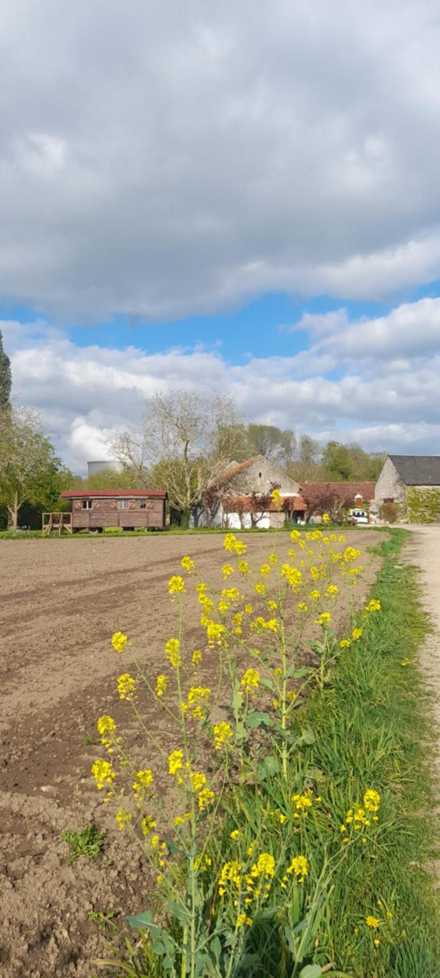 La Ferme De L'Isle Et Sa Roulotte Bed & Breakfast Avaray Exterior photo